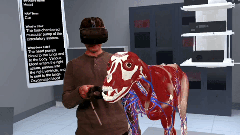Jetson VR Mix Cast VR